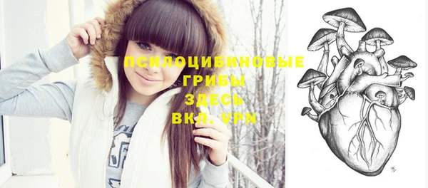винт Богородицк