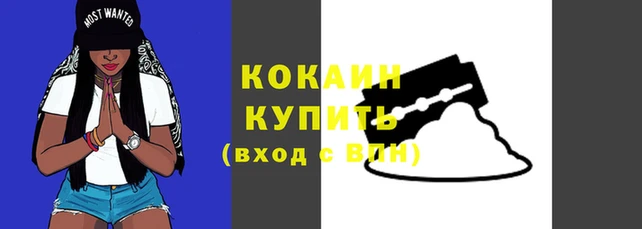 винт Богородицк