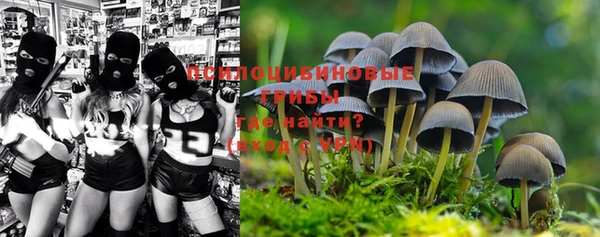 винт Богородицк