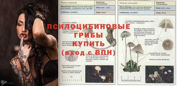 винт Богородицк