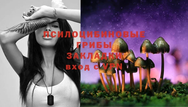 COCAINE Богданович