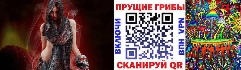 Купить где  Георгиевск  Галлюциногенные грибы мухоморы 